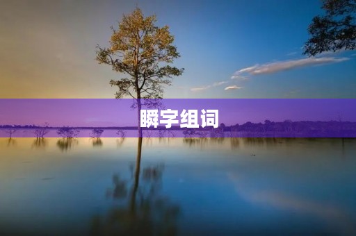 瞬字组词(瞬组词) 瞬字组词(瞬组词)