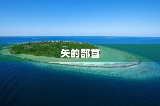 矢的部首(矢组词)