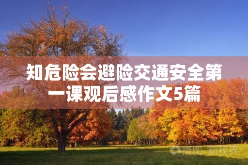 知危险会避险交通安全第一课观后感作文5篇 知危险会避险交通安全第一课观后感作文5篇
