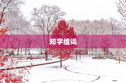 知字组词(知组词)