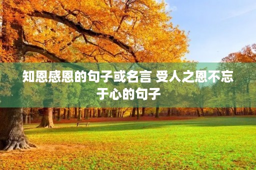 知恩感恩的句子或名言 受人之恩不忘于心的句子