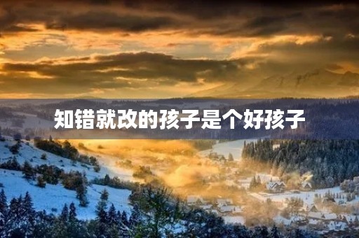 知错就改的孩子是个好孩子