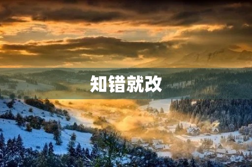 知错就改 知错就改