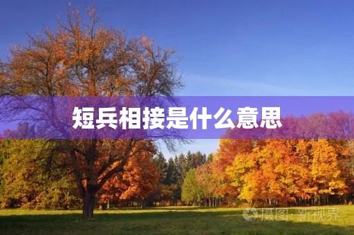 短兵相接是什么意思