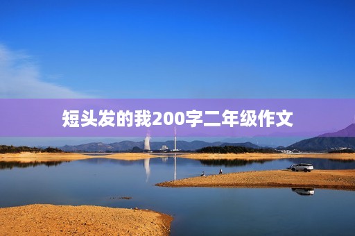 短头发的我200字二年级作文