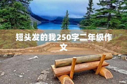 短头发的我250字二年级作文