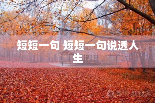 短短一句 短短一句说透人生