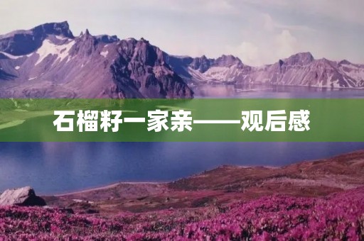 石榴籽一家亲——观后感