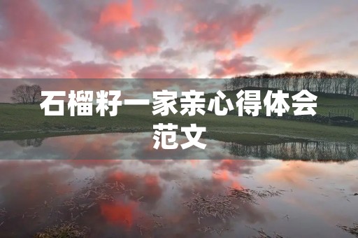 石榴籽一家亲心得体会范文