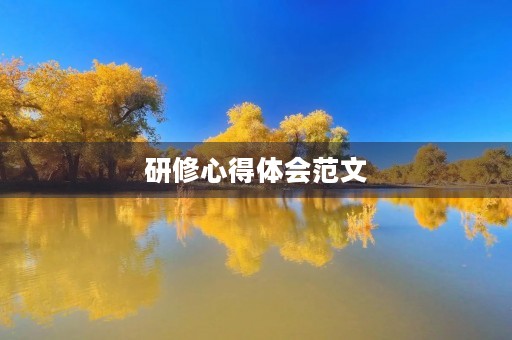 研修心得体会范文