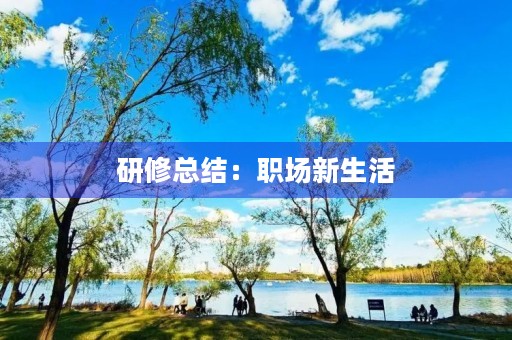 研修总结：职场新生活