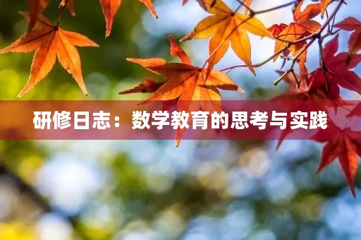 研修日志：数学教育的思考与实践