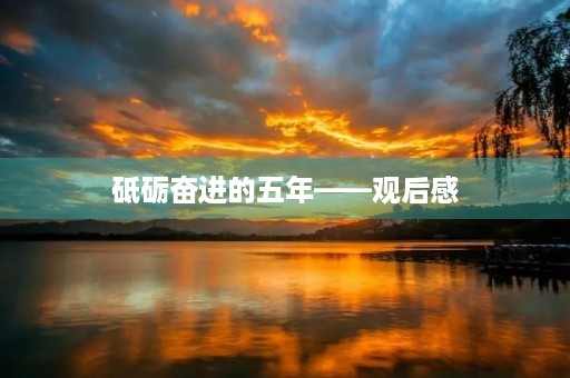 砥砺奋进的五年——观后感 砥砺奋进的五年——观后感