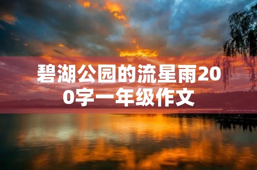 碧湖公园的流星雨200字一年级作文