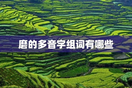 磨的多音字组词有哪些(磨的组词)