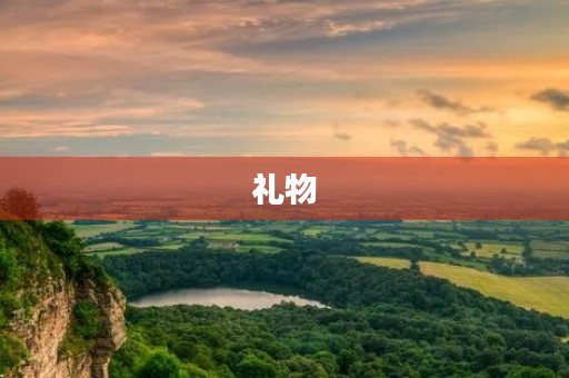 礼物，一份心意的表达