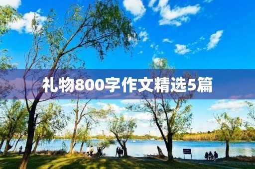 礼物800字作文精选5篇