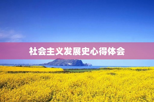 社会主义发展史心得体会