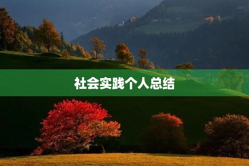 社会实践个人总结 社会实践个人总结