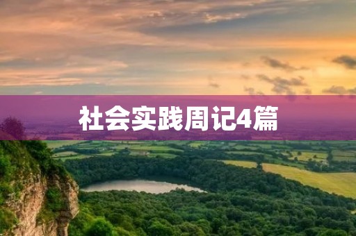 社会实践周记4篇