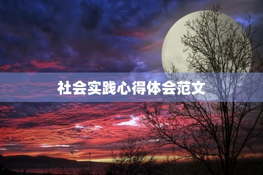 社会实践心得体会范文