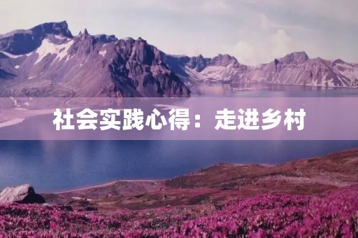 社会实践心得：走进乡村，感受乡愁