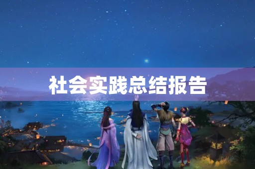 社会实践总结报告