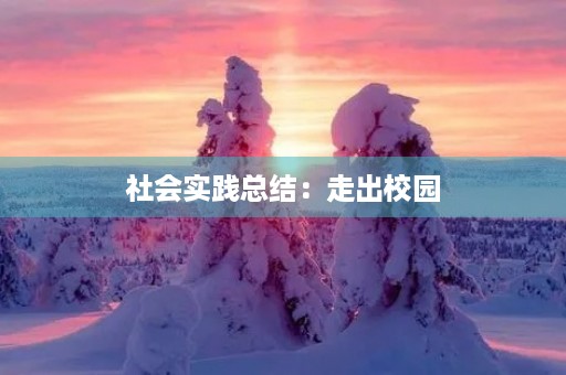 社会实践总结：走出校园，走向社会