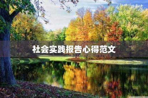 社会实践报告心得范文