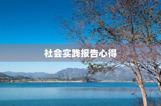 社会实践报告心得