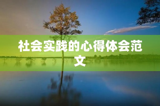 社会实践的心得体会范文