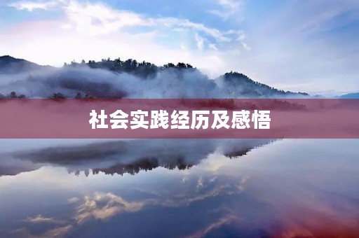 社会实践经历及感悟 社会实践经历及感悟