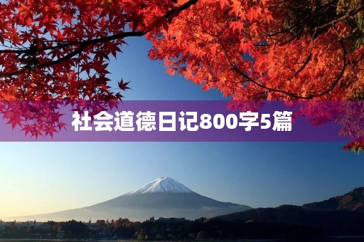 社会道德日记800字5篇 社会道德日记800字5篇