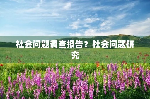 社会问题调查报告?社会问题研究 社会问题调查报告?社会问题研究