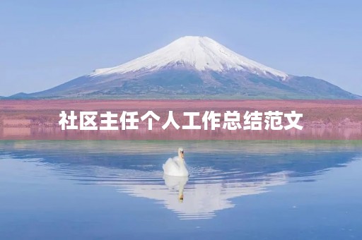 社区主任个人工作总结范文