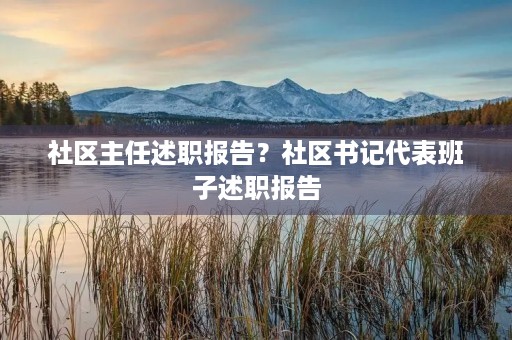 社区主任述职报告？社区书记代表班子述职报告