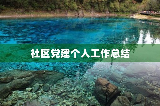 社区党建个人工作总结
