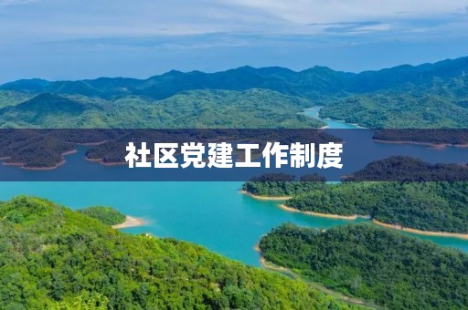社区党建工作制度(党委定期研究党建工作制度)