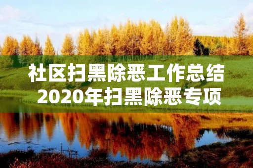 社区扫黑除恶工作总结 2020年扫黑除恶专项斗争工作总结范文精选2篇