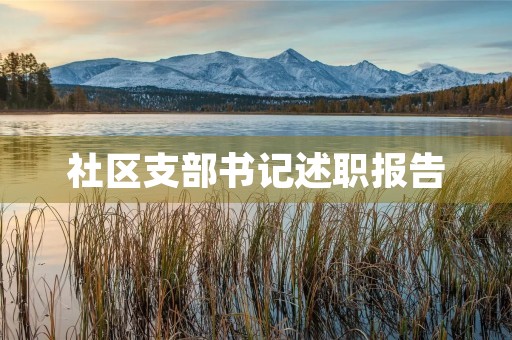 社区支部书记述职报告,居民小区党支部书记职责