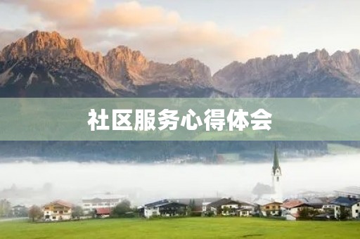 社区服务心得体会