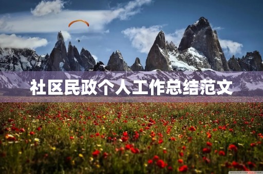 社区民政个人工作总结范文