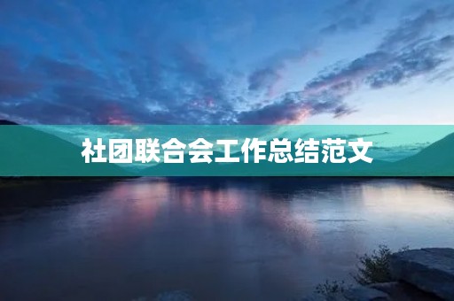 社团联合会工作总结范文