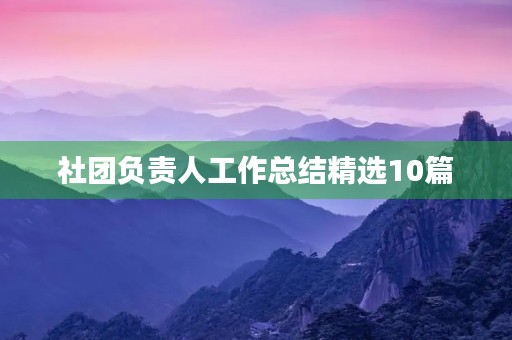 社团负责人工作总结精选10篇