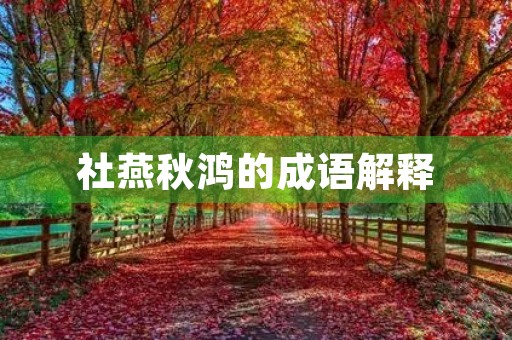 社燕秋鸿的成语解释 社燕秋鸿的成语解释