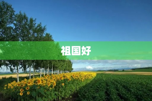 祖国好，家乡美