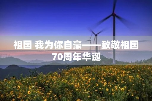 祖国 我为你自豪——致敬祖国70周年华诞 祖国 我为你自豪——致敬祖国70周年华诞