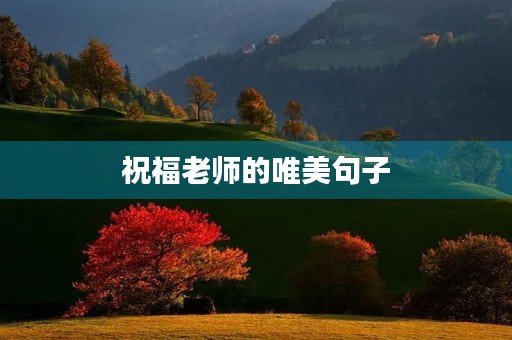 祝福老师的唯美句子