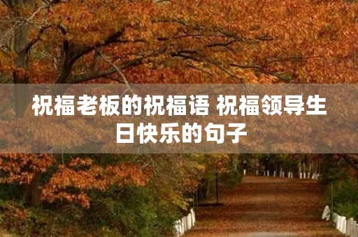 祝福老板的祝福语 祝福领导生日快乐的句子