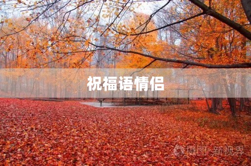 祝福语情侣(祝福情侣高端句子)